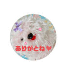 suunuus（個別スタンプ：20）
