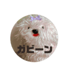 suunuus（個別スタンプ：26）