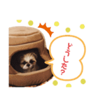 二宮さんちのびびさん（個別スタンプ：7）
