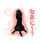 ダックスとゆかいな仲間たち（個別スタンプ：9）