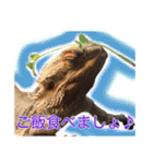 ダックスとゆかいな仲間たち（個別スタンプ：11）