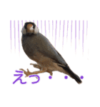 ダックスとゆかいな仲間たち（個別スタンプ：26）