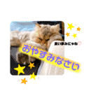 ゆきち 3（個別スタンプ：3）