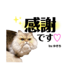 ゆきち 3（個別スタンプ：13）