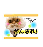 ゆきち 3（個別スタンプ：17）