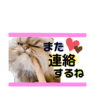 ゆきち 3（個別スタンプ：18）