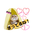 ゆきち 3（個別スタンプ：19）