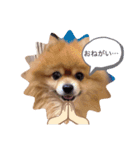 もこもこの日常スタンプ（個別スタンプ：1）