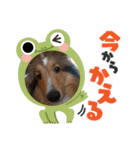 麦茶ん2（個別スタンプ：1）