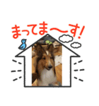 麦茶ん2（個別スタンプ：11）
