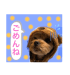 かわいい！ペロリンスタンプ第3弾！（個別スタンプ：1）