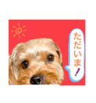かわいい！ペロリンスタンプ第3弾！（個別スタンプ：3）