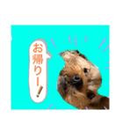 かわいい！ペロリンスタンプ第3弾！（個別スタンプ：4）