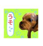 かわいい！ペロリンスタンプ第3弾！（個別スタンプ：7）