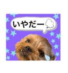 かわいい！ペロリンスタンプ第3弾！（個別スタンプ：8）