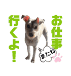 仁君のスタンプNo2（個別スタンプ：5）