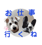 仁君のスタンプNo2（個別スタンプ：6）