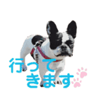 仁君のスタンプNo2（個別スタンプ：7）