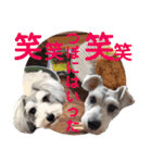 仁君のスタンプNo2（個別スタンプ：17）