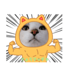 猫マッチョスタンプ（個別スタンプ：2）