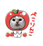 猫マッチョスタンプ（個別スタンプ：7）