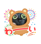 猫マッチョスタンプ（個別スタンプ：8）