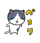 ひょえ〜！と叫ぶ猫（個別スタンプ：6）