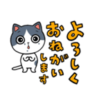 ひょえ〜！と叫ぶ猫（個別スタンプ：7）