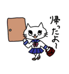 株クラのねこちゃん(生活)（個別スタンプ：13）