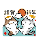 【2022】寅年 猫のコハマとコエリ（再販）（個別スタンプ：5）