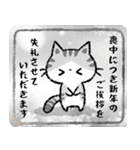 【2022】寅年 猫のコハマとコエリ（再販）（個別スタンプ：8）