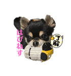 happinessスタンプ✌️（個別スタンプ：2）