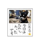 happinessスタンプ✌️（個別スタンプ：6）