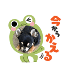 happinessスタンプ✌️（個別スタンプ：7）