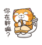 ランラン猫 30 (台湾版)（個別スタンプ：1）