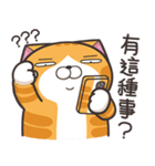 ランラン猫 30 (台湾版)（個別スタンプ：3）