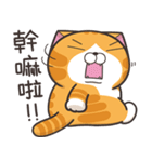 ランラン猫 30 (台湾版)（個別スタンプ：5）
