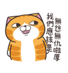ランラン猫 30 (台湾版)（個別スタンプ：6）
