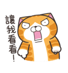 ランラン猫 30 (台湾版)（個別スタンプ：11）