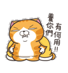 ランラン猫 30 (台湾版)（個別スタンプ：14）