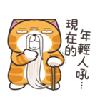 ランラン猫 30 (台湾版)（個別スタンプ：17）
