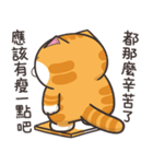 ランラン猫 30 (台湾版)（個別スタンプ：20）