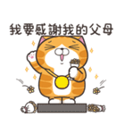 ランラン猫 30 (台湾版)（個別スタンプ：22）