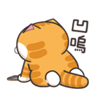 ランラン猫 30 (台湾版)（個別スタンプ：26）