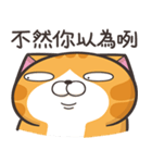 ランラン猫 30 (台湾版)（個別スタンプ：28）