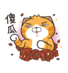 ランラン猫 30 (台湾版)（個別スタンプ：32）