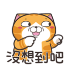 ランラン猫 30 (台湾版)（個別スタンプ：40）