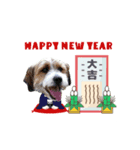 こはくくんのクリスマス＆お正月（個別スタンプ：1）