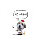 こはくくんのクリスマス＆お正月（個別スタンプ：6）