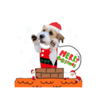 こはくくんのクリスマス＆お正月（個別スタンプ：7）